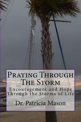 Praying Through The Storm 1719010080 Book Cover