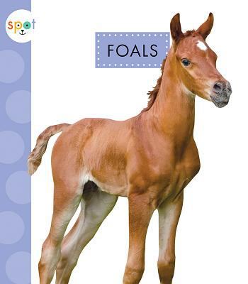 Foals 1681515318 Book Cover