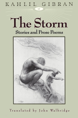 The Storm 1883991013 Book Cover