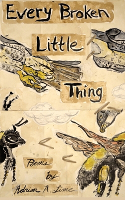 Every Broken Little Thing 1952411882 Book Cover