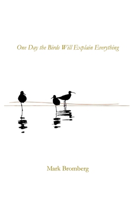 One Day the Birds Will Explain Everything 1960326988 Book Cover