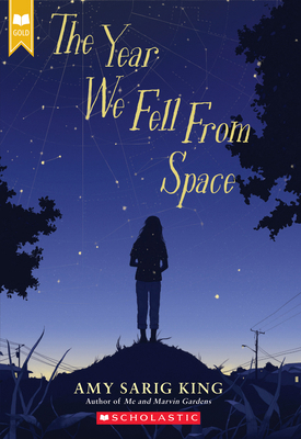 The Year We Fell from Space (Scholastic Gold) 1338236458 Book Cover