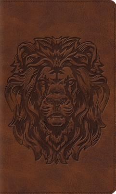 Kid's Thinline Bible-ESV-Royal Lion 1433545713 Book Cover