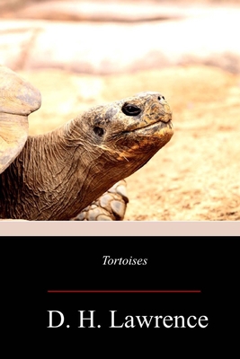 Tortoises 1719299587 Book Cover