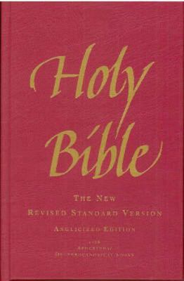 Holy Bible: New Revised Standard Version, Angli... 1853118532 Book Cover