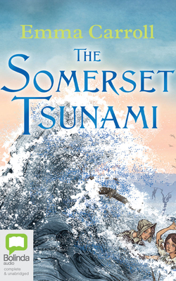 The Somerset Tsunami 0655692118 Book Cover