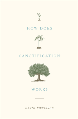 How Does Sanctification Work? B08F5GS8L7 Book Cover