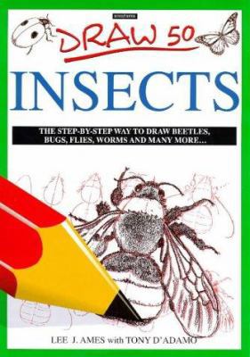Draw 50 Insects 0753403935 Book Cover