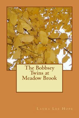 The Bobbsey Twins at Meadow Brook 1547241969 Book Cover