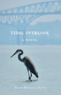 Tidal Overlook B0FYHV69W3 Book Cover