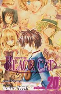 Black Cat, Vol. 20, 20 1421523795 Book Cover
