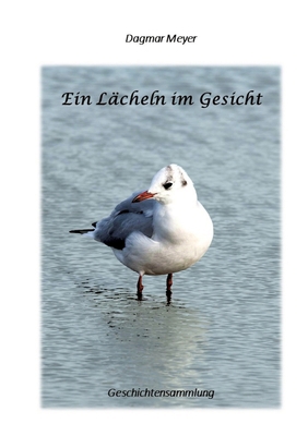 Ein Lächeln im Gesicht: Geschichtensammlung [German] 3384088875 Book Cover