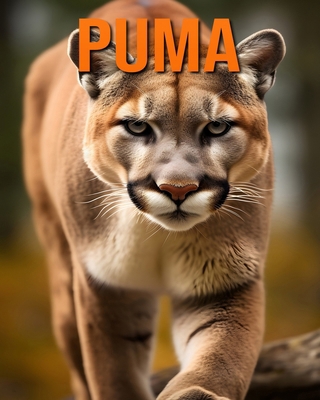 Puma: Datos e imágenes divertidas y fascinantes... [Spanish] B0DHW9GKLP Book Cover