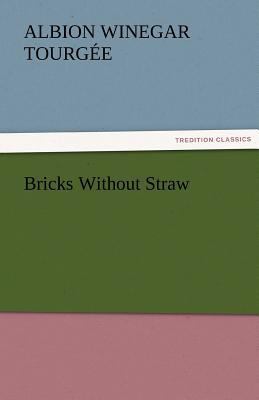 Bricks Without Straw 3842460821 Book Cover