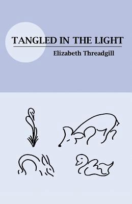 Tangled in the Light 1635344700 Book Cover