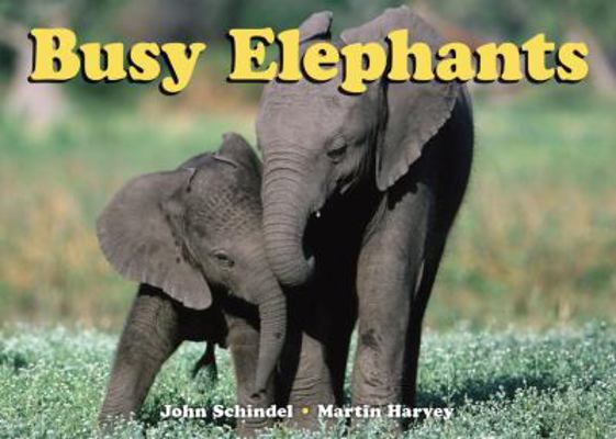 Board book Busy Elephants Book