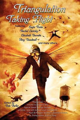 Triangulation: Taking Flight 0615235409 Book Cover