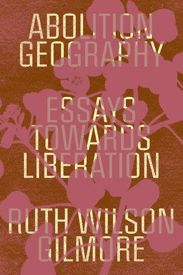Abolition Geography: Essays Towards Liberation 1839761717 Book Cover