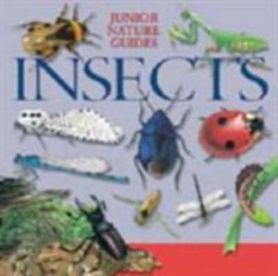 Insects (Junior Nature Guides) 1841388025 Book Cover