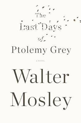 The Last Days of Ptolemy Grey 1594487723 Book Cover