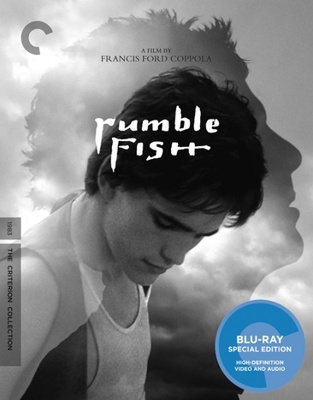 Rumble Fish B01MY9HR5Y Book Cover