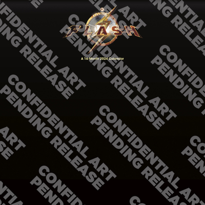 24wall the Flash (Secure) 143889600X Book Cover