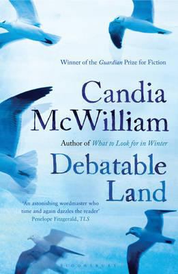 Debatable Land 1408822997 Book Cover