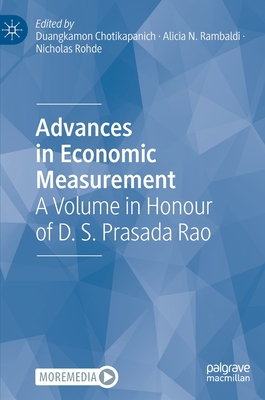 Advances in Economic Measurement: A Volume in H... 9811920222 Book Cover