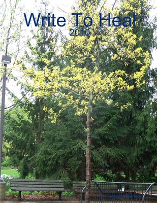 Write To Heal 0557486009 Book Cover