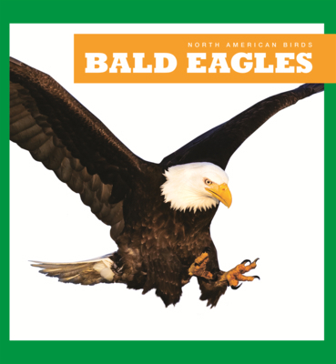 Bald Eagles B0GN5VV8VB Book Cover