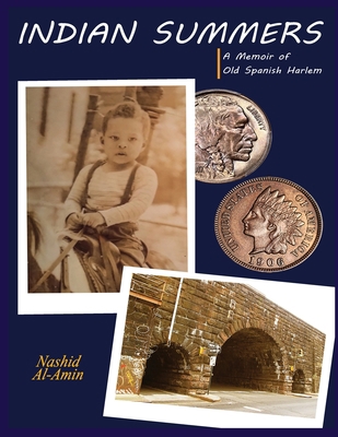 Indian Summers 1088029787 Book Cover