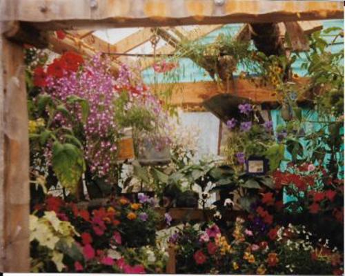 Chasing Alaskan Dreams 0692708391 Book Cover