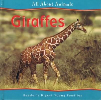 All About Animals: Giraffes 1599390345 Book Cover
