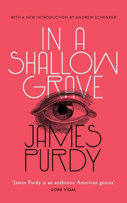 In a Shallow Grave (Valancourt 20th Century Cla... 1948405245 Book Cover