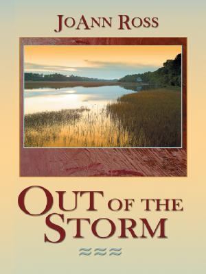 Out of the Storm [Large Print] 1587247011 Book Cover