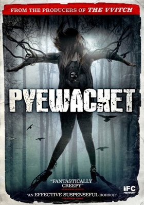 Pyewacket 6317361207 Book Cover