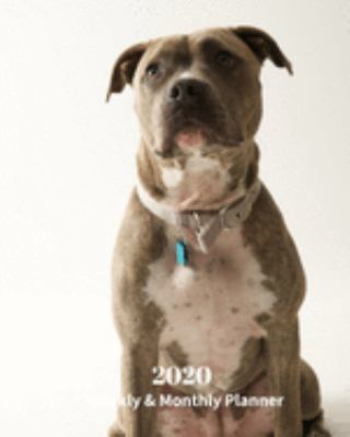 Paperback 2020 Weekly and Monthly Planner: Brown Pit Bull - Monthly Calendar with U.S./UK/ Canadian/Christian/Jewish/Muslim Holidays- Calendar in Review/Notes 8 Book
