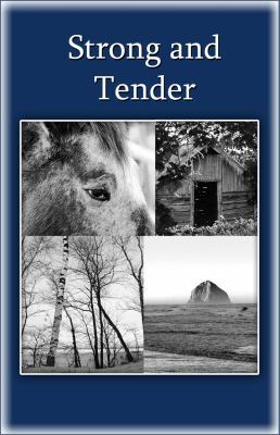 Strong and Tender: A Guide for the Father Whose... 0961519770 Book Cover