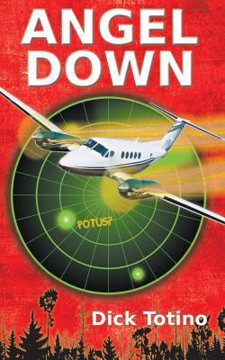 Angel Down 1641363843 Book Cover