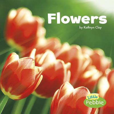 Flowers 1491483083 Book Cover