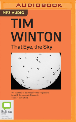 That Eye, the Sky 1038603927 Book Cover