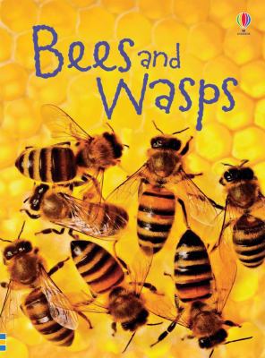 Bees and Wasps 0794533604 Book Cover