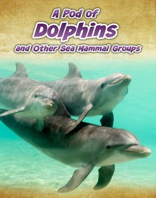 A Pod of Dolphins: And Other Sea Mammal Groups 1432964836 Book Cover