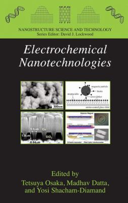 Electrochemical Nanotechnologies 1441914234 Book Cover