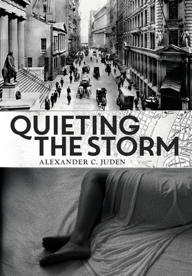 Quieting the Storm B0FSW62LD5 Book Cover