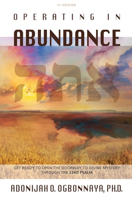 Operating in Abundance 1958997102 Book Cover