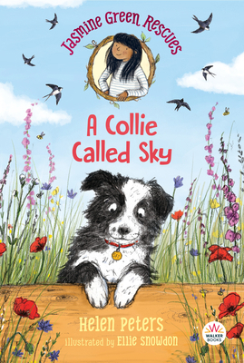 Jasmine Green Rescues: A Collie Called Sky 1536215716 Book Cover