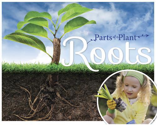 Roots 1910512532 Book Cover