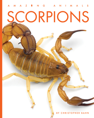 Scorpions B0DHTHVRB9 Book Cover