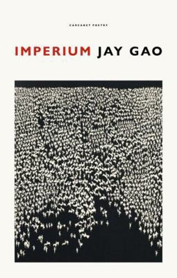 Imperium 1800172478 Book Cover